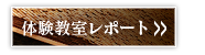 体验教室报告