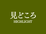 看点