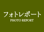 照片报告