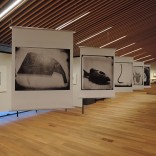 展示3